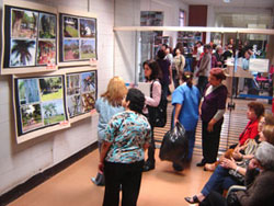 expo_mosaicos_06102008_001.jpg