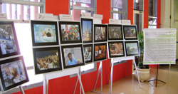 exposicao_ascom_20102010