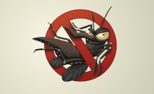 dengue