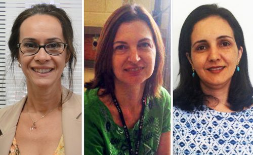 reorganizacao dpd destaque