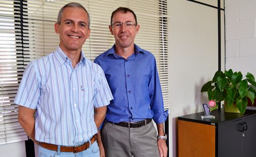 transicao coord destaque