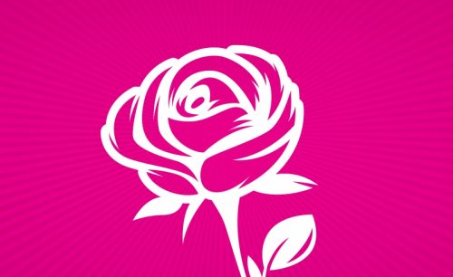 outubro rosa