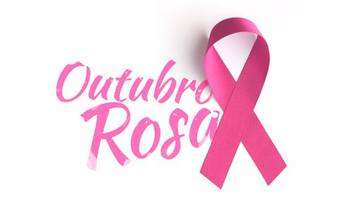 rosa no jardim destaque
