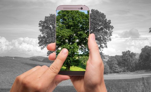 transtorno de deficit de natureza destaque