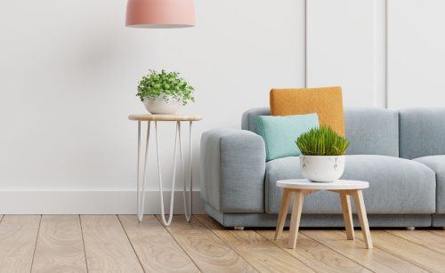 bons motivos para ter plantas em casa destaque