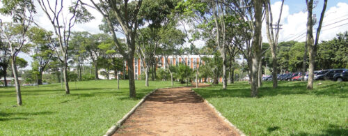 Foto da Praça da Paz com o prédio da Reitoria V ao fundo