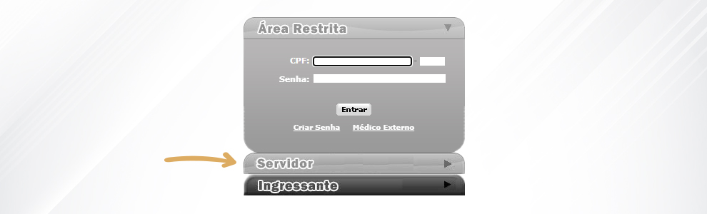 2. Clique na aba Consulta - Servidor;