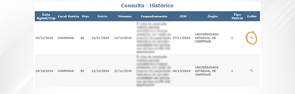 5. Clique na lupa que consta à frente do período a ser analisado;