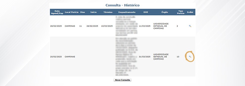 5. Clique na lupa que consta à frente do período a ser analisado;