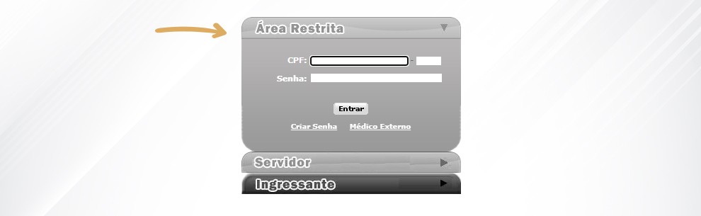 2. Preencha as informações na aba Área Restrita;