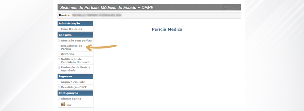 3. No menu localizado à esquerda da tela, na seção Consulta, clique na opção Documento de Perícia;
