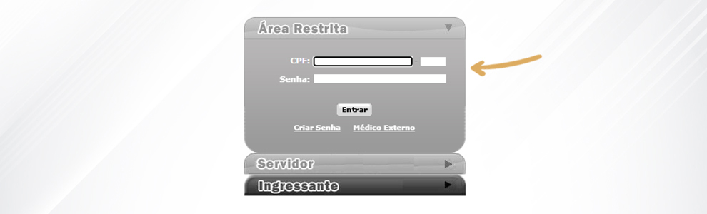 1. Na Área Restrita do sistema eSisla, informe o CPF e a senha do operador;