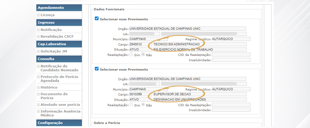 5. As informações da seção Dados Funcionais não são editáveis. Caso o servidor possua designação, são exibidos dois provimentos: um referente à função e outro referente ao cargo.