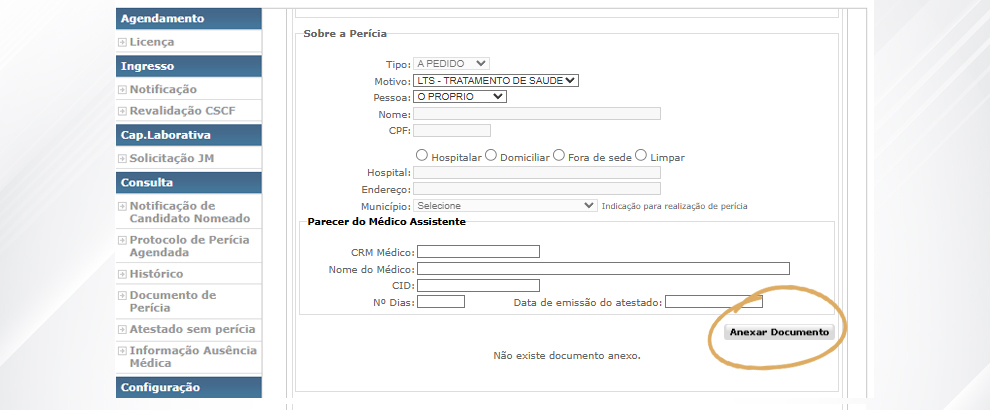 8. Anexe o documento médico no formato jpg ou pdf (tamanho máximo de 250 KB).